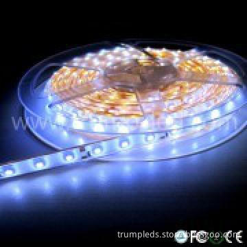 CE Rohs DC12v outdoor christmas led lights